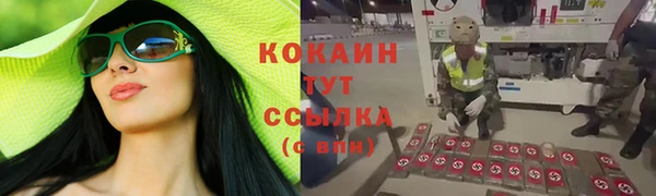 PSILOCYBIN Каменка