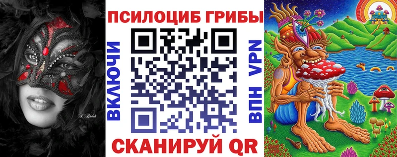 Купить закладки  Шумерля  Псилоцибиновые грибы ЛСД 